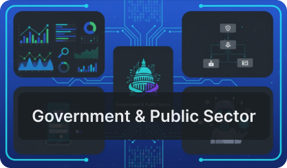government & public sector